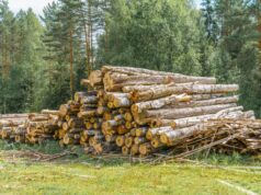 Jak rozpoznać zużycie noży w rębakach? noże do rębaków