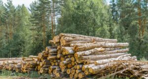 Jak rozpoznać zużycie noży w rębakach? noże do rębaków