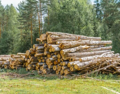 Jak rozpoznać zużycie noży w rębakach? noże do rębaków