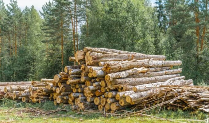 Jak rozpoznać zużycie noży w rębakach? noże do rębaków